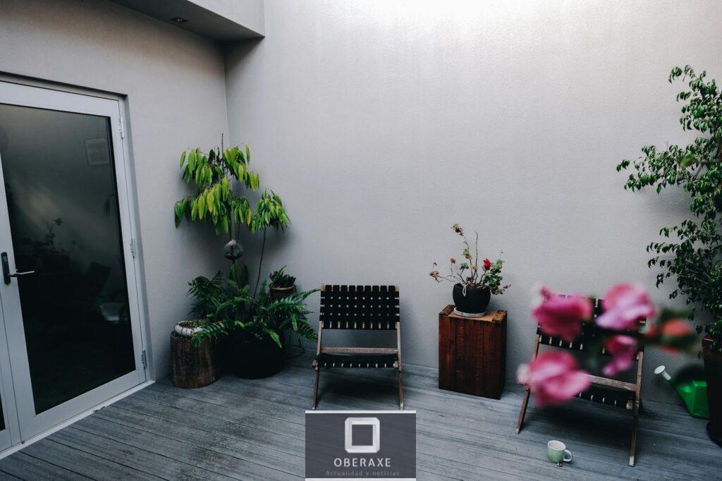 Comfortable chairs and small wooden table placed on house veranda decorated with various exotic potted plants in daylight